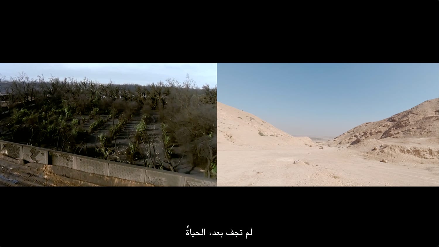 A desert horizon — film still from At the Edge of the Sea